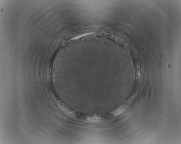 X0000066120470200604071916