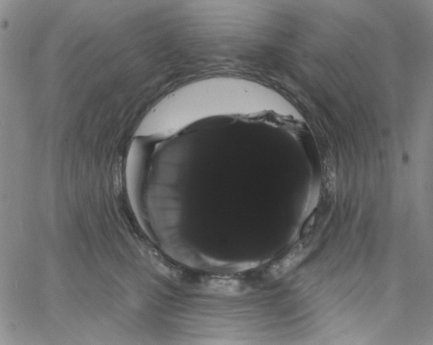 X0000066120471200604071916