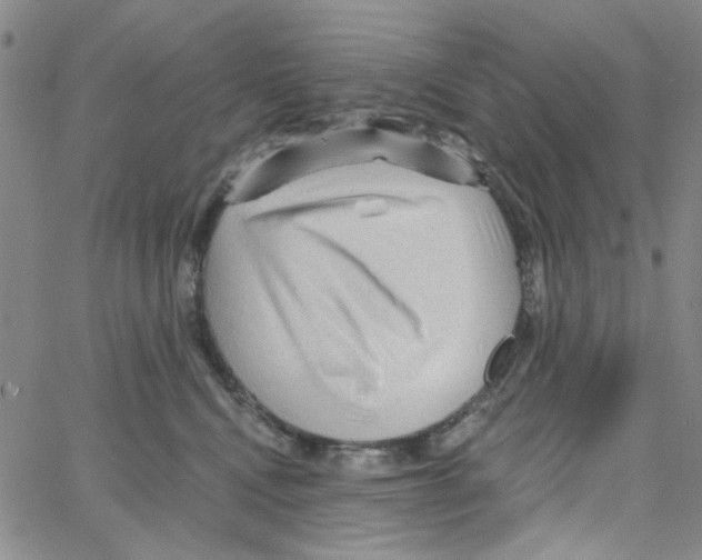 X0000066120472200604071916