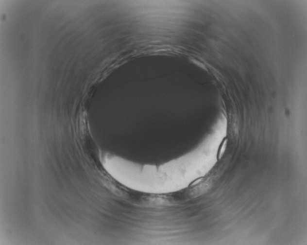 X0000066120475200604071916