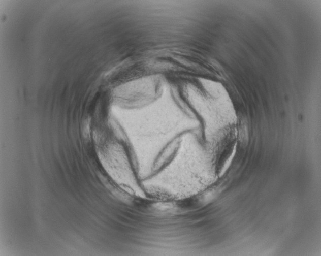 X0000066120477200604071916