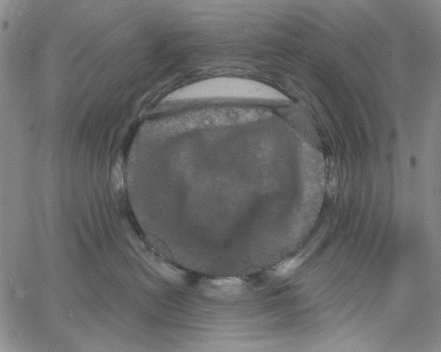 X0000066120478200604071916