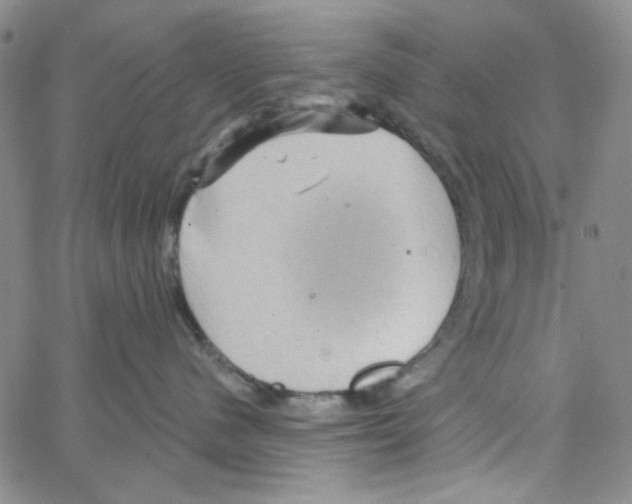 X0000066120480200604071917