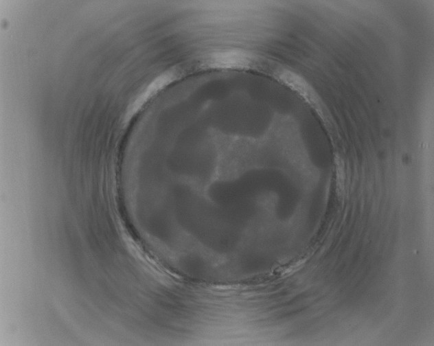 X0000066120482200604071916