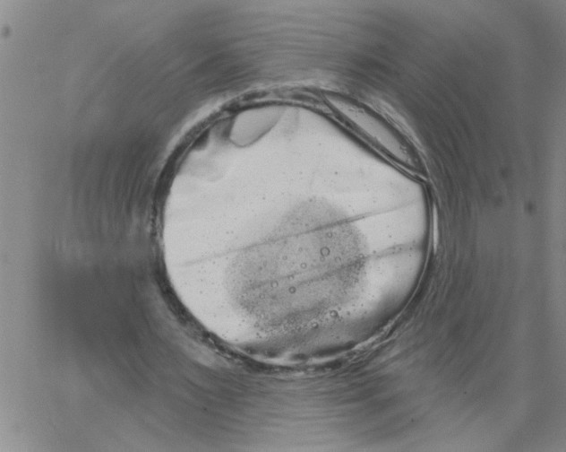 X0000066120483200604071916