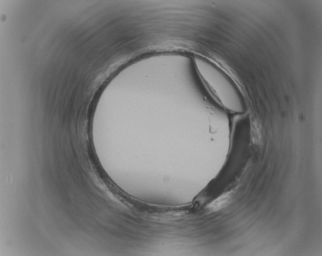 X0000066120485200604071916