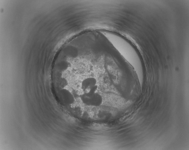 X0000066120487200604071916