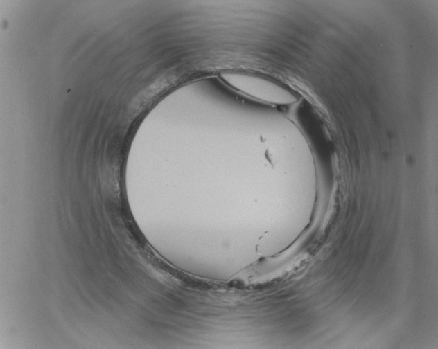 X0000066120489200604071916