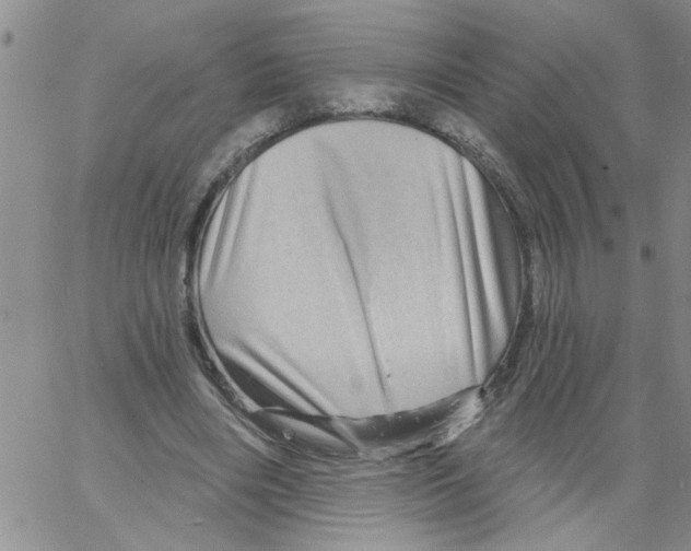 X0000066120490200604071916