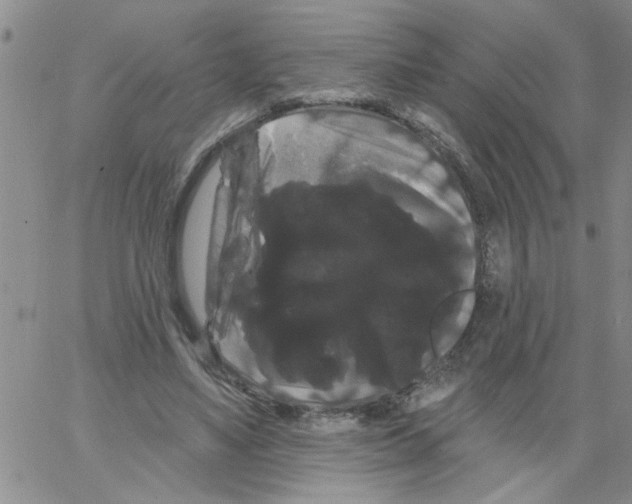 X0000066120491200604071916