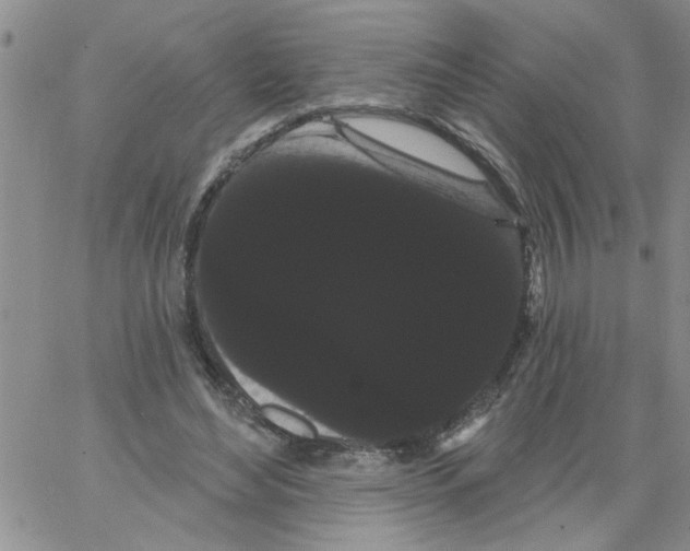 X0000066120492200604071916