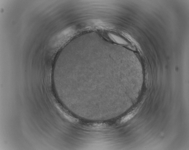 X0000066120493200604071916