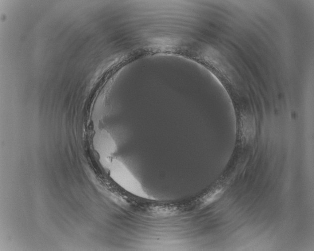 X0000066120494200604071916