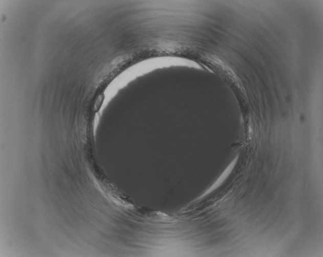 X0000066120496200604071915