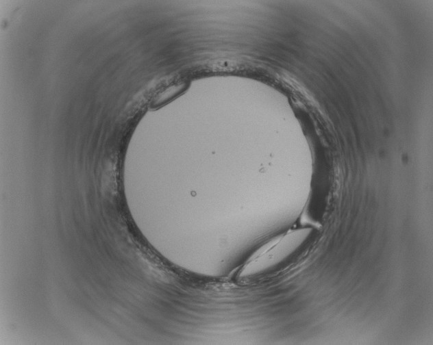 X0000066120497200604071915