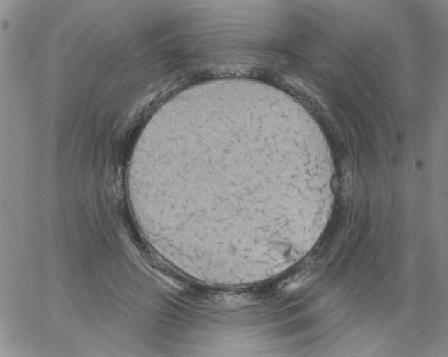 X0000066120498200604071915