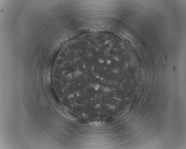 X0000066120499200604071915