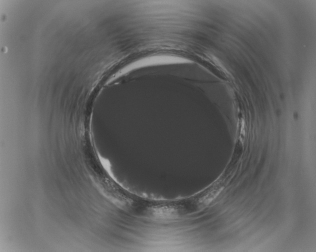 X0000066120500200604071915