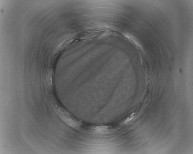 X0000066120501200604071915