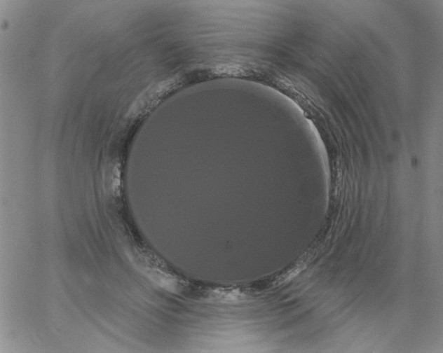 X0000066120502200604071915