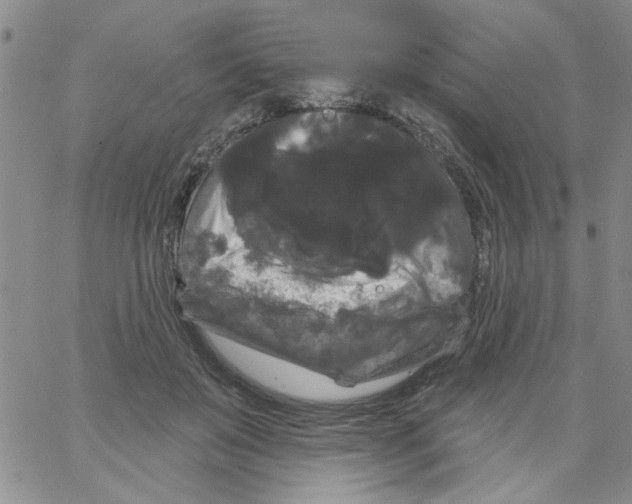 X0000066120503200604071915