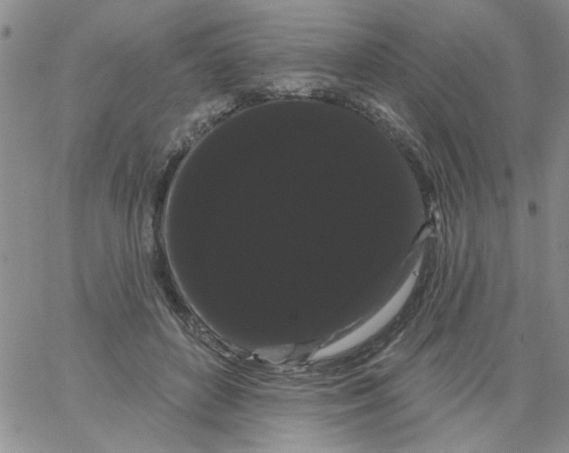 X0000066120504200604071915