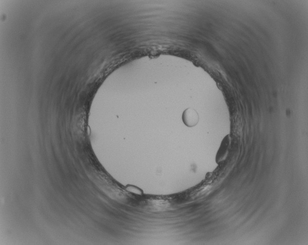 X0000066120509200604071915