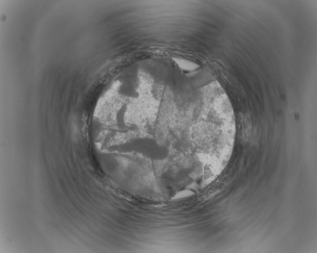 X0000066120511200604071915