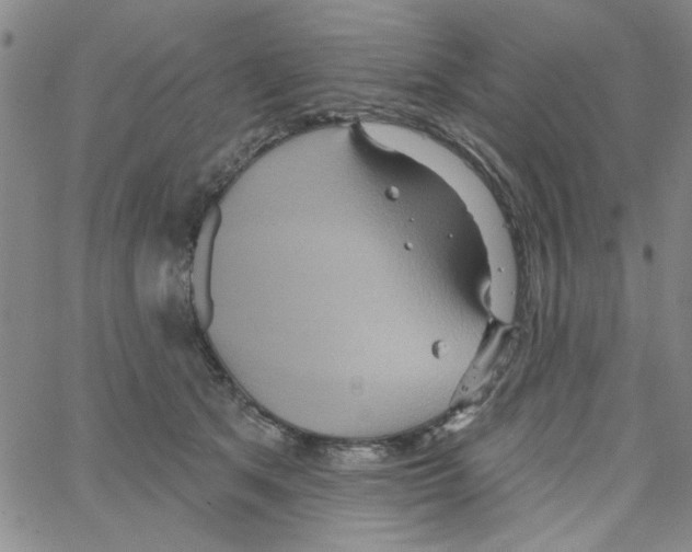 X0000066120513200604071915