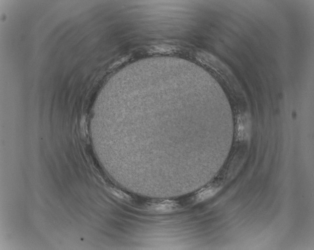 X0000066120514200604071915