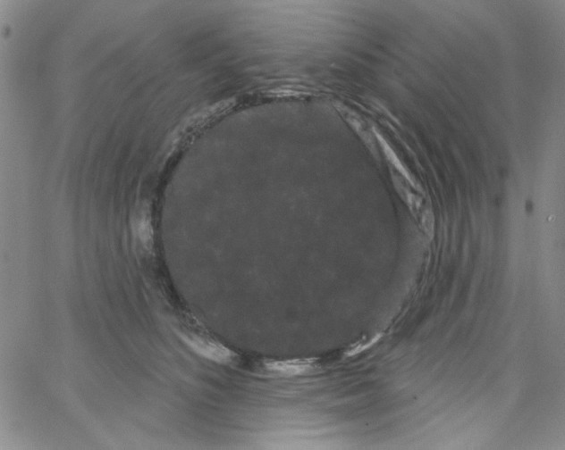 X0000066120516200604071915