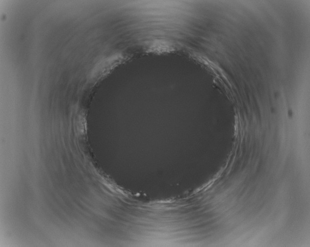 X0000066120517200604071915