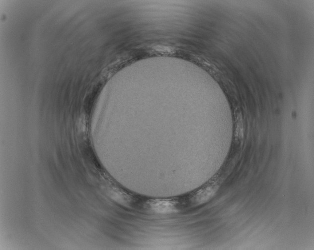 X0000066120518200604071915