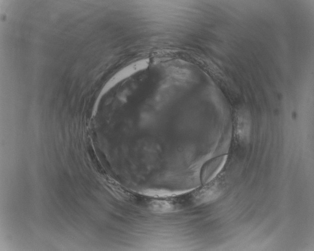 X0000066120519200604071915