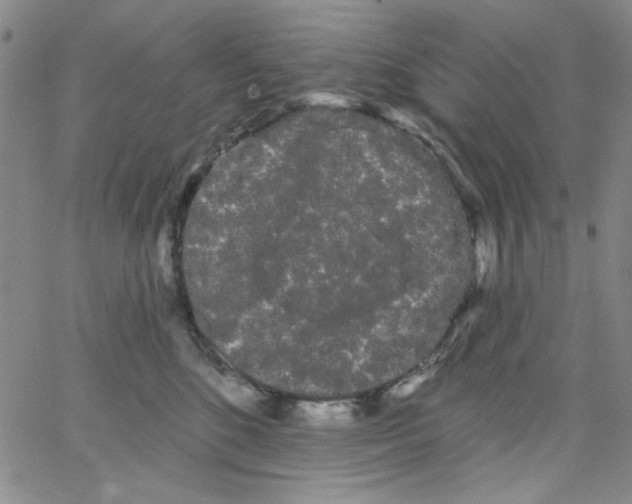 X0000066120520200604071915