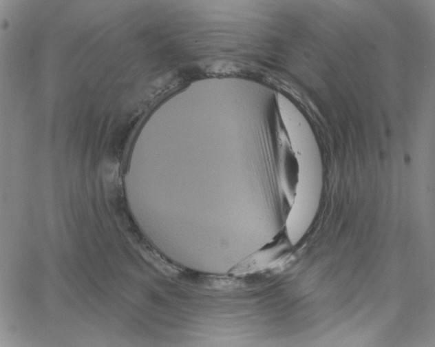 X0000066120521200604071915