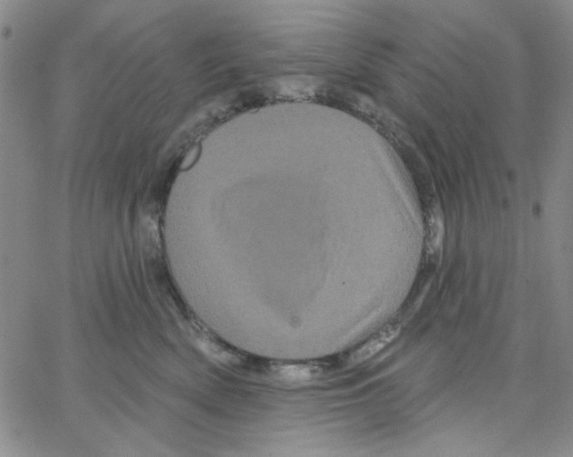 X0000066120522200604071915