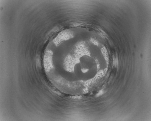 X0000066120524200604071915