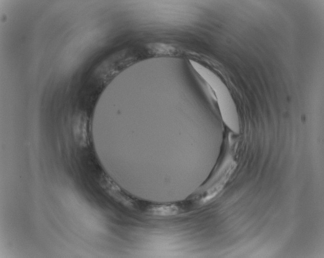 X0000066120525200604071915