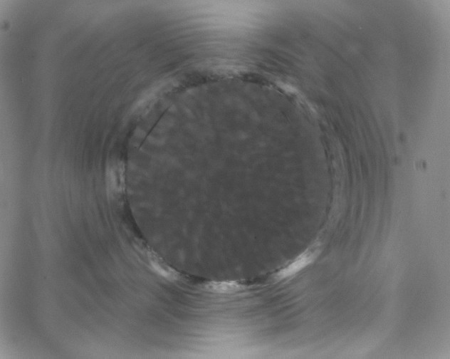 X0000066120528200604071915