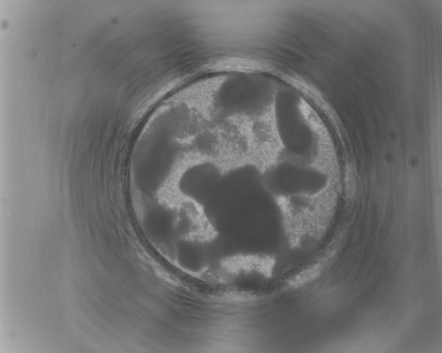 X0000066120529200604071914