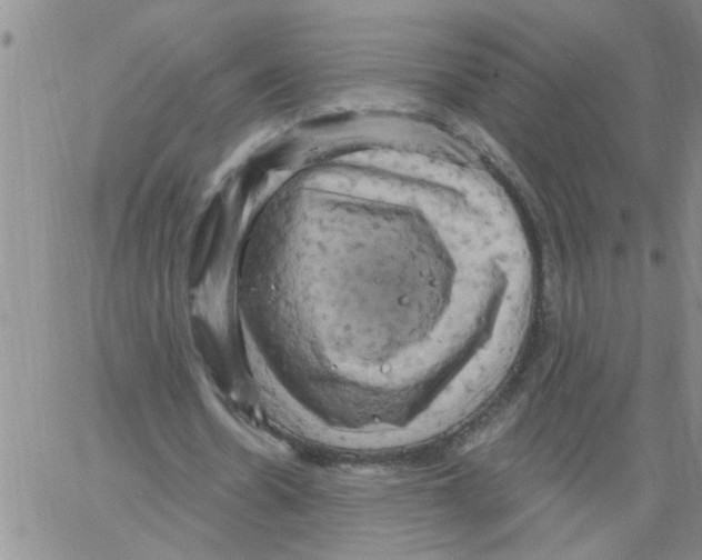 X0000066120530200604071914