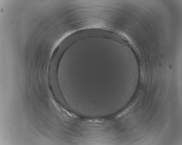 X0000066120532200604071914