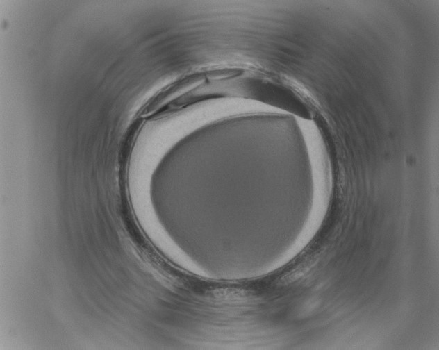 X0000066120535200604071914