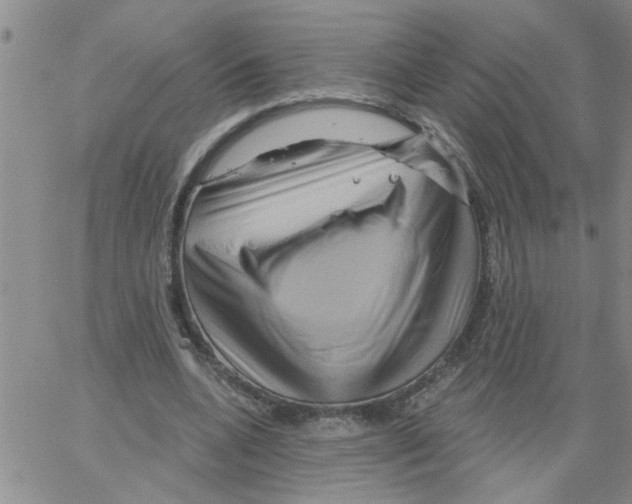 X0000066120536200604071914