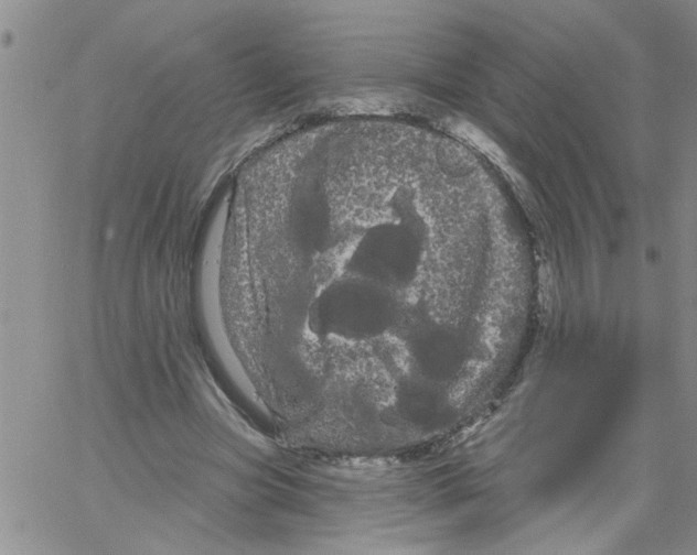 X0000066120537200604071914