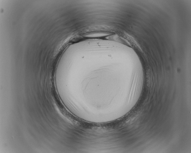 X0000066120538200604071914