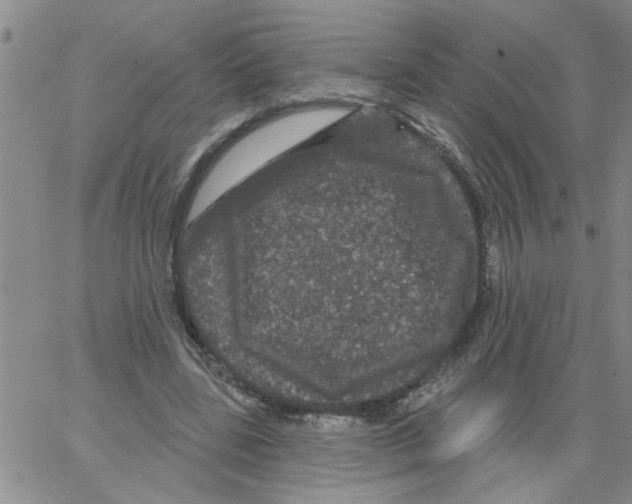 X0000066120539200604071914