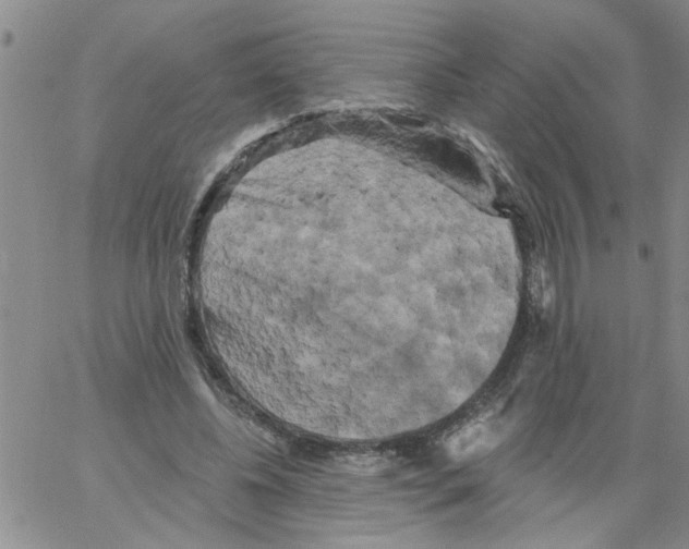 X0000066120540200604071914