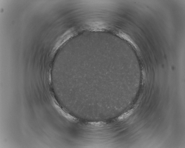 X0000066120541200604071914